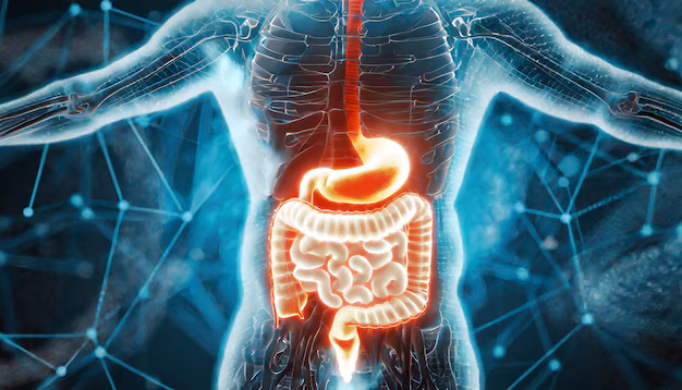 Gout Ảnh Hưởng Đến Hệ Tiêu Hóa Như Thế Nào?