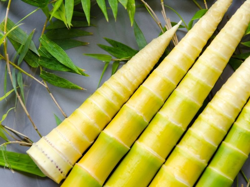 Người bị gout có nên ăn măng không