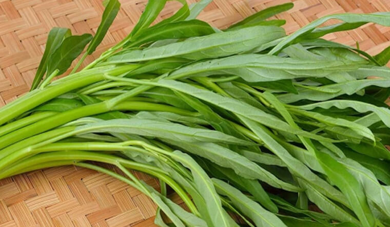 Người bị gout có nên ăn rau muống không