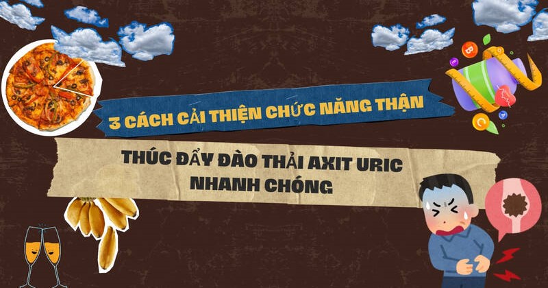 Vai trò của thận trong việc đào thải axit uric